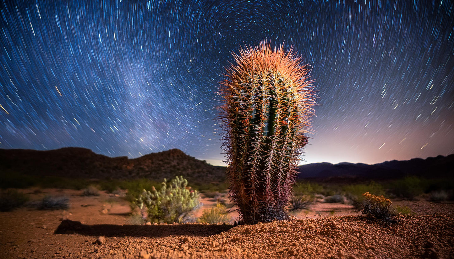 Desert Aurora Vibes
