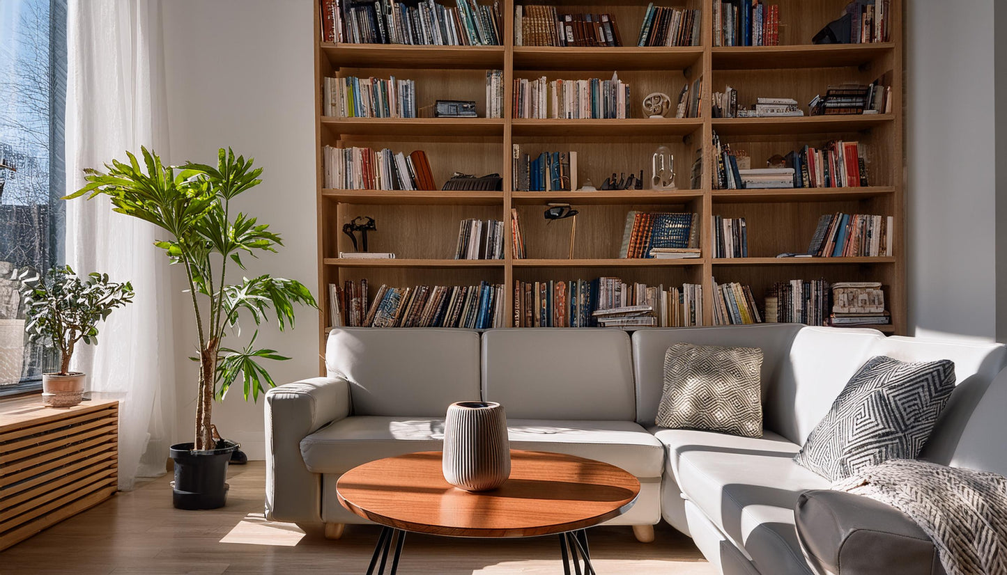 Tranquil Office Vibes