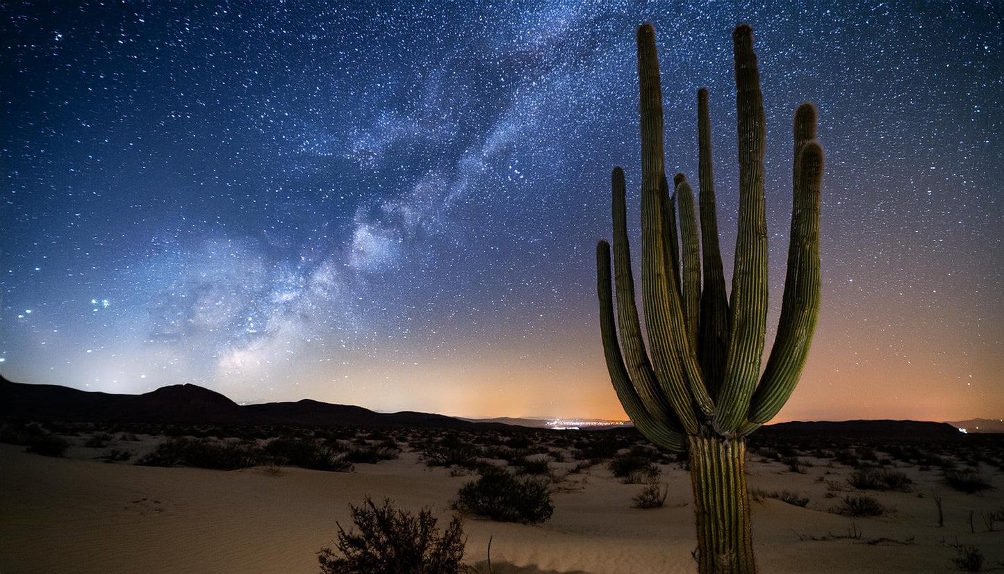 Desert Aurora Vibes