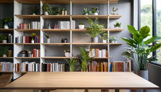 Tranquil Office Vibes